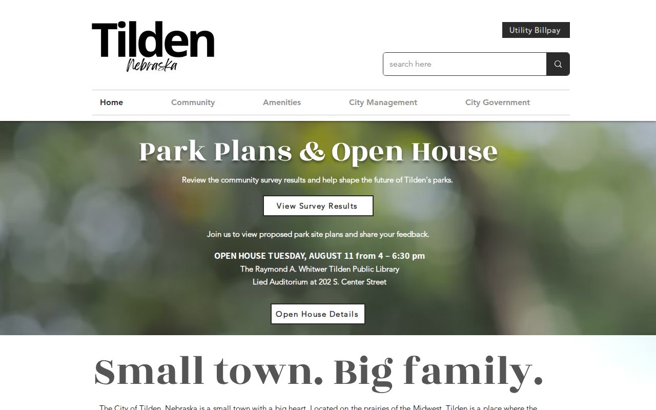 Tilden court records city office and council source